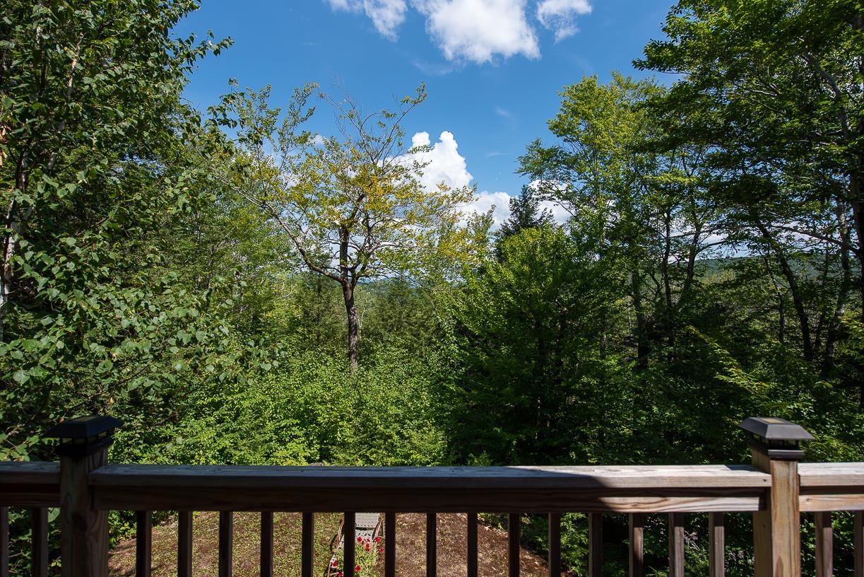 1348 Cass Mill Road Alexandria, NH 03222 - Photo 24 of 39 Gallery Image 24