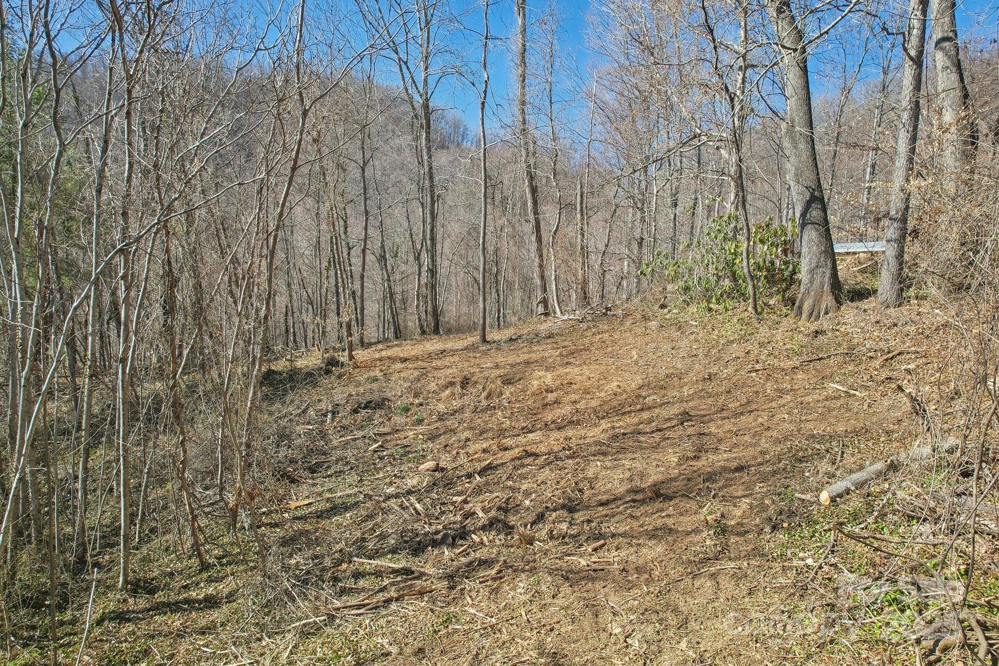 151 Maney Branch Road Weaverville, NC 28787 - Photo 5 of 11 Gallery Image 5