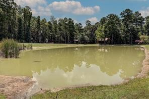 Lot 13 Windmill Road Huntsville, TX 77340 - Photo 17 of 39