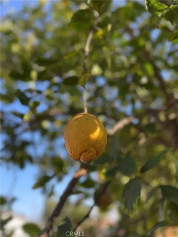 a view of a storage & utility room