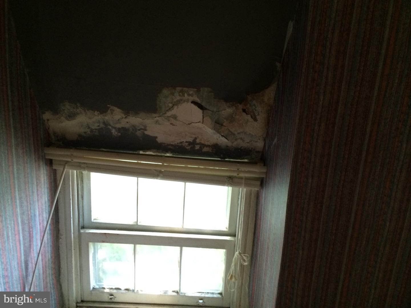 519 East Rittenhouse Street Philadelphia, PA 19144 - Photo 12 of 24 Gallery Image 12