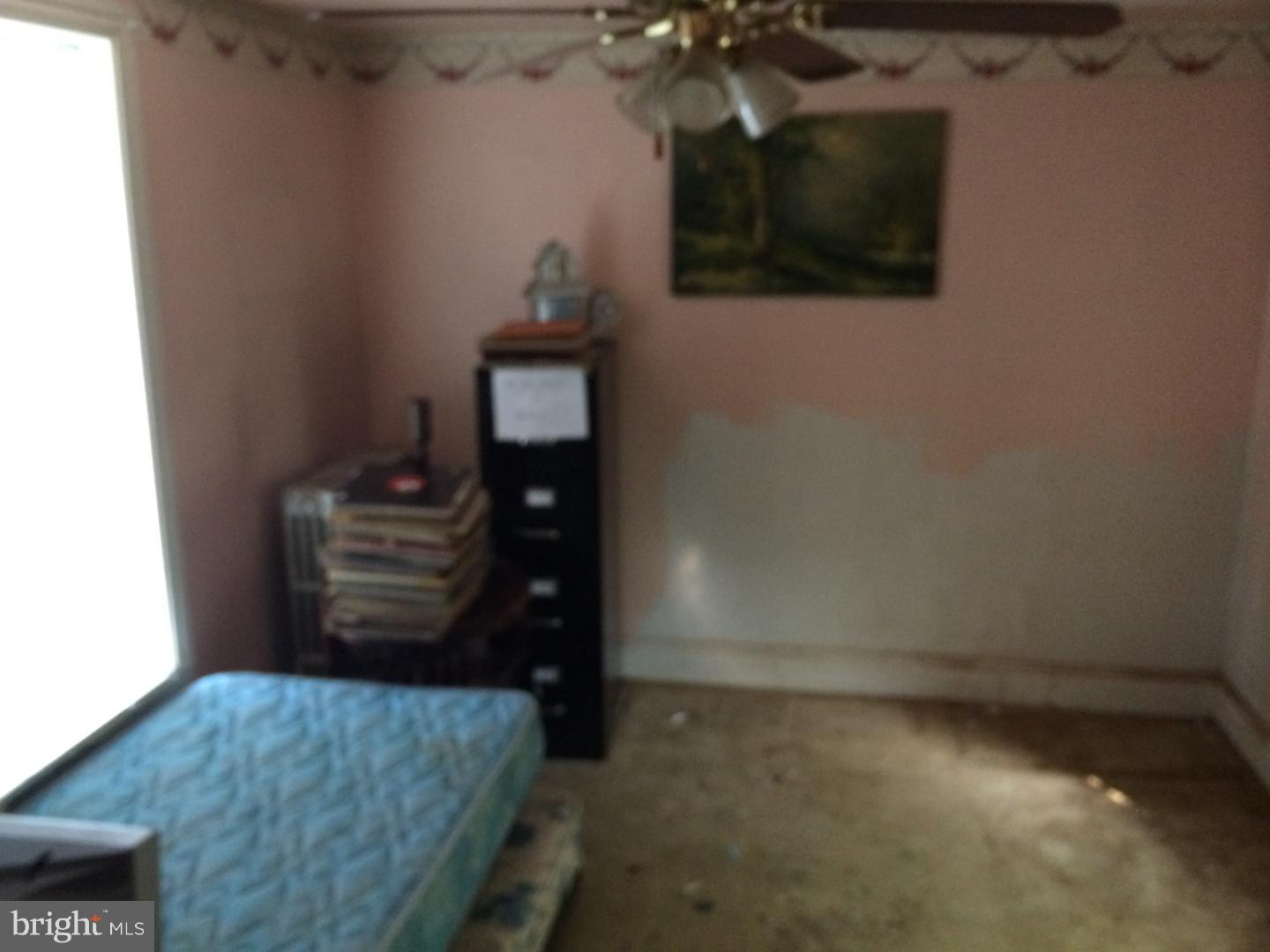 519 East Rittenhouse Street Philadelphia, PA 19144 - Photo 7 of 24 Gallery Image 7