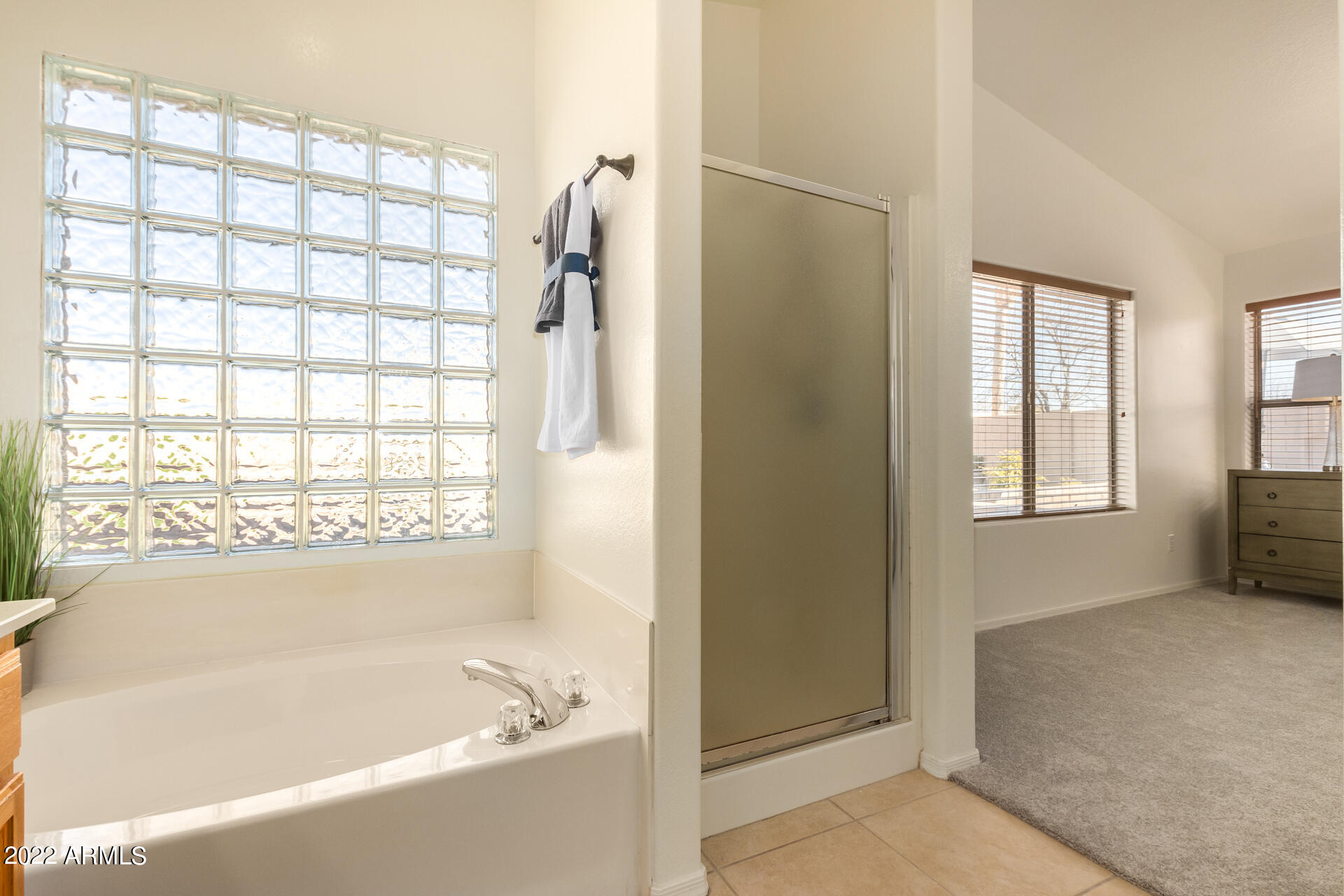 1782 East Appaloosa Road Gilbert, AZ 85296 - Photo 17 of 31 17-Appaloosa