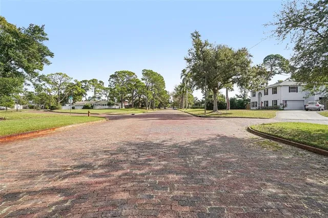 a view of dirt yard with large trees