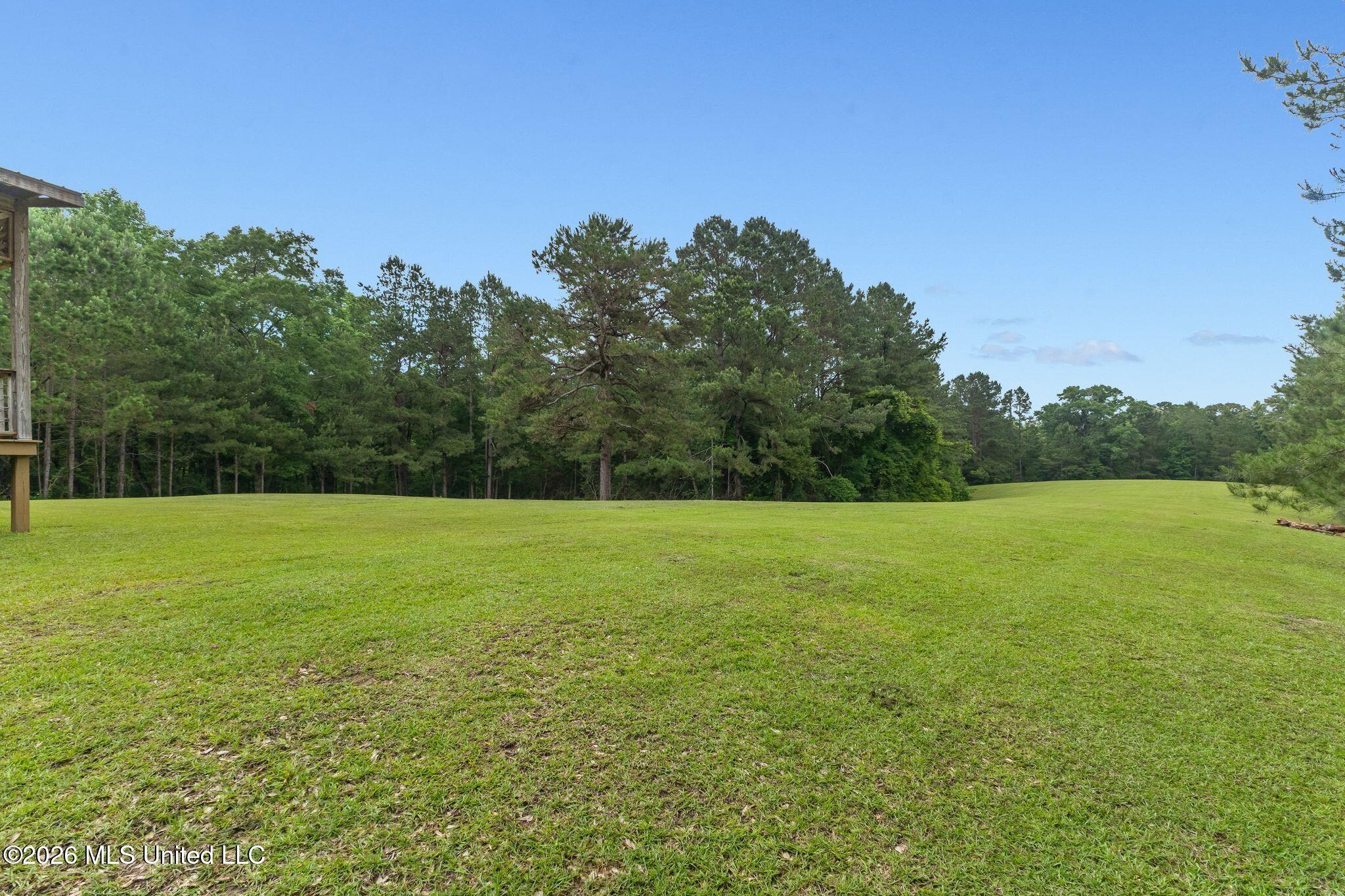 33 McMahan Cutoff Road Sumrall, MS 39482 - Photo 70 of 87 Exterior-70