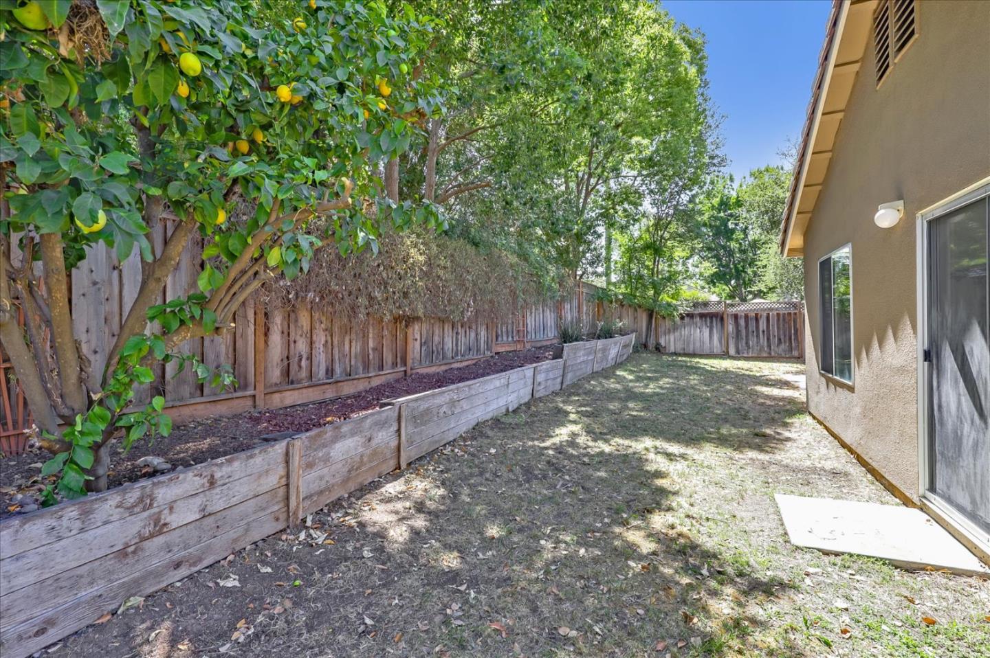 1274 Blacksmith Drive Gilroy, CA 95020 - Photo 29 of 30 a view of a yard with plants and large trees