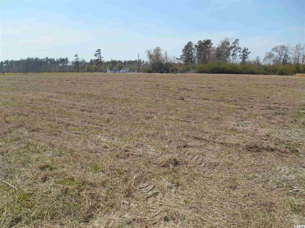 Tbd Lot A Tbd Road Loris, SC 29569 - Photo 1 of 4 Gallery Image 1