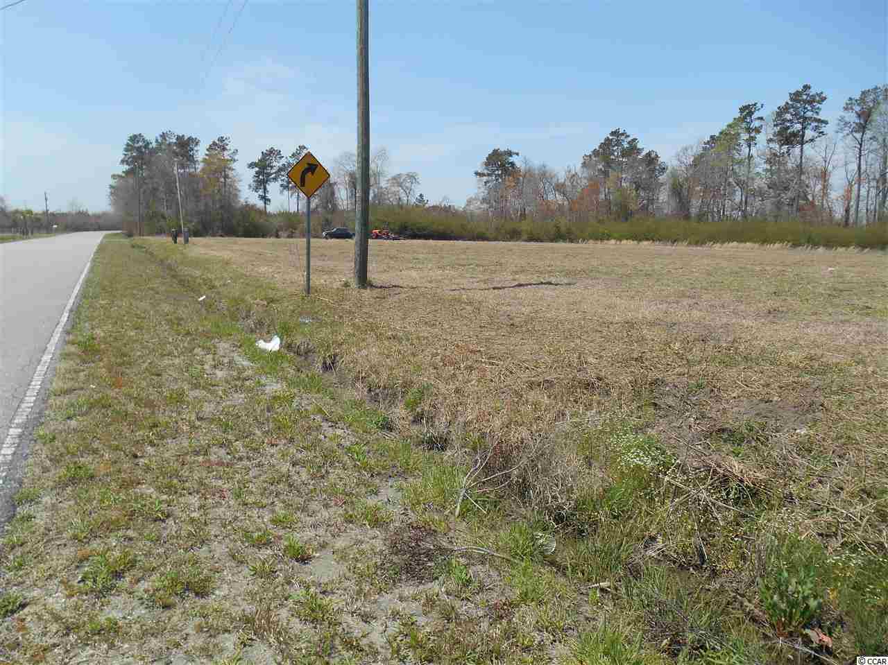 Tbd Lot A Tbd Road Loris, SC 29569 - Photo 4 of 4 Gallery Image 4
