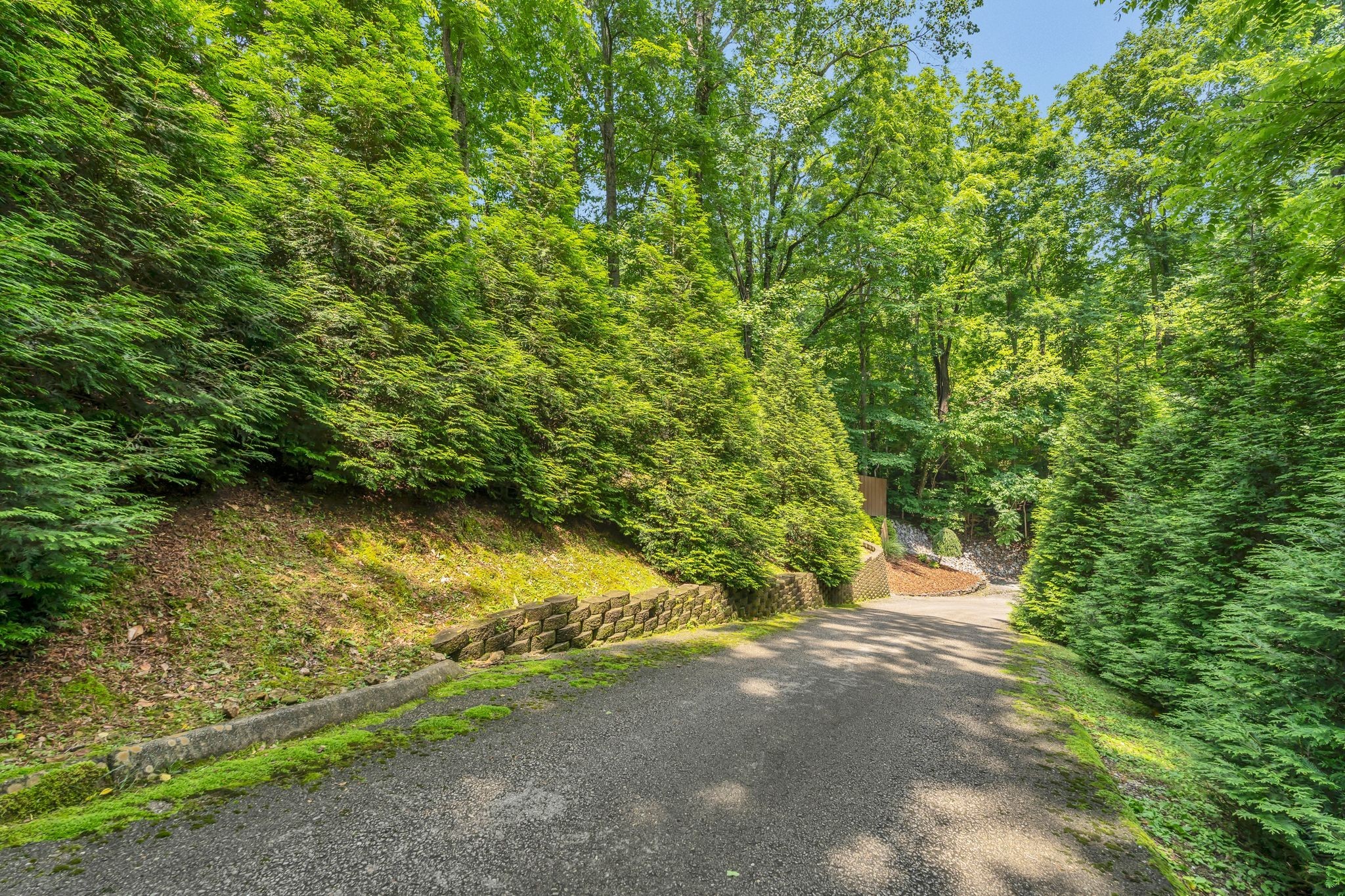 110 Village Way Lancaster, TN 38569 - Photo 27 of 27 a view of a yard with a trees