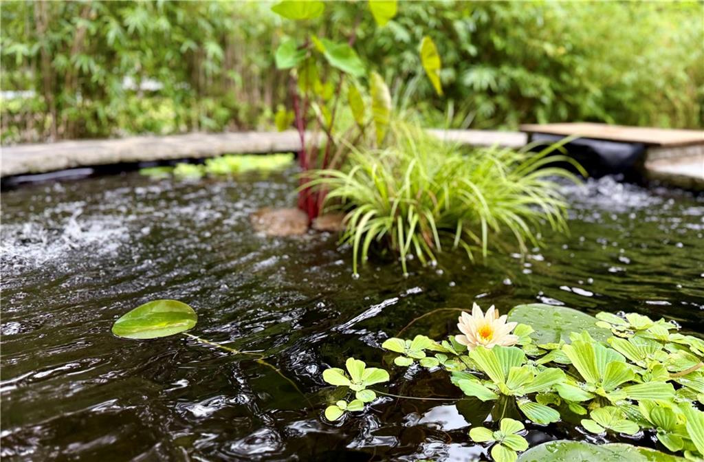 1904 Lenox Road Northeast Atlanta, GA 30306 - Photo 13 of 56 a view of a back yard