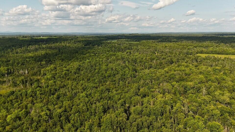 DJI_20260731160955_0125_D