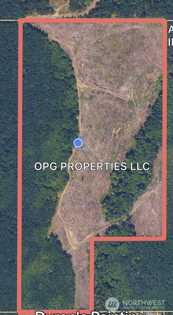 1-xxx Andy Cooper Road Port Ludlow, WA 98365 - Photo 7 of 29