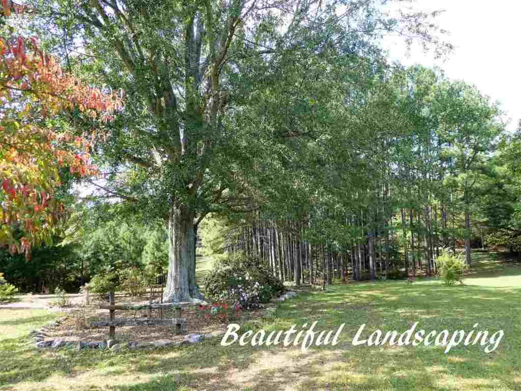 180 Bruce Road Westminster, SC 29693 - Photo 6 of 35 Gallery Image 6