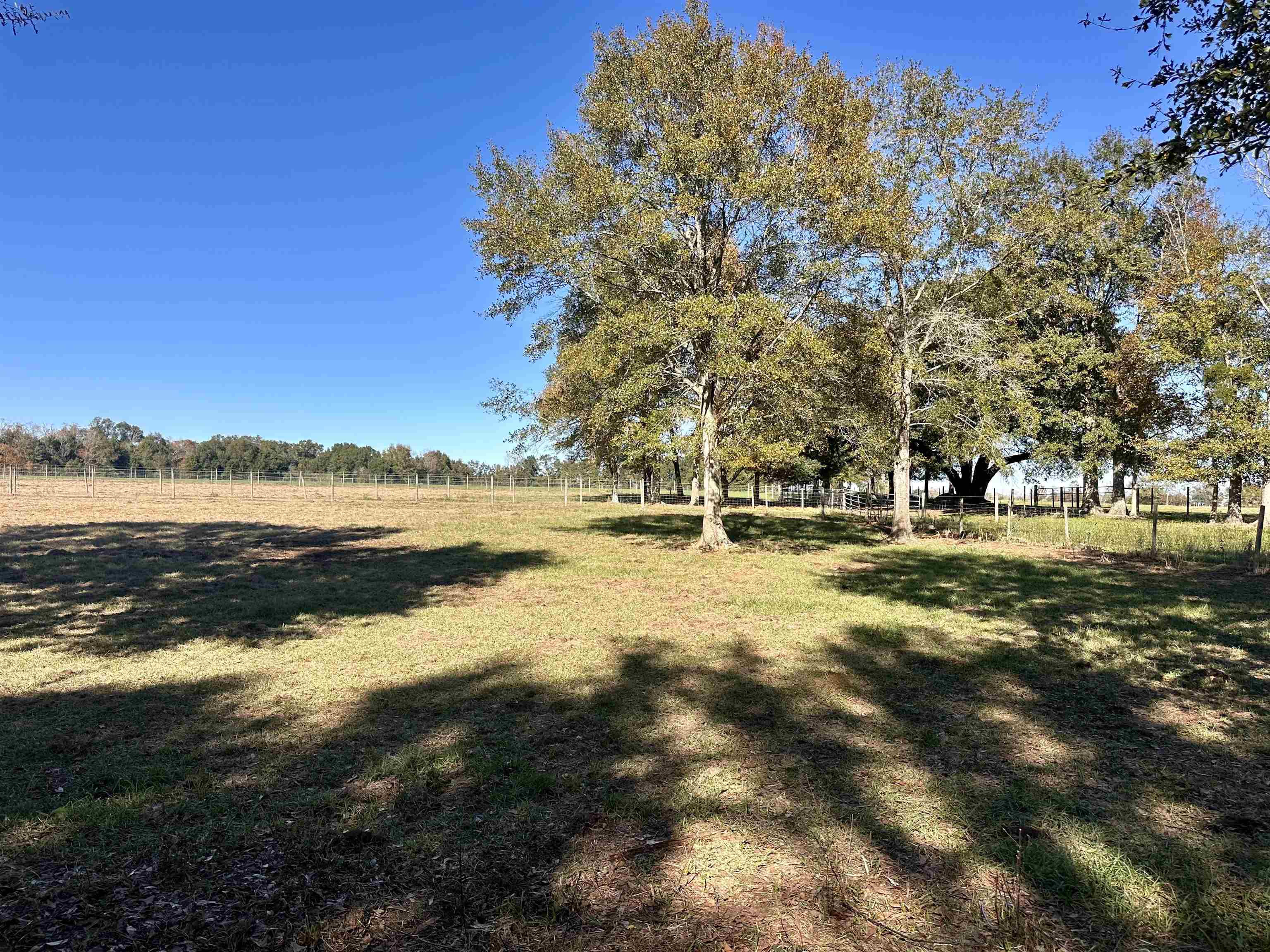 0 Newman Road Summerdale, AL 36580 - Photo 13 of 14