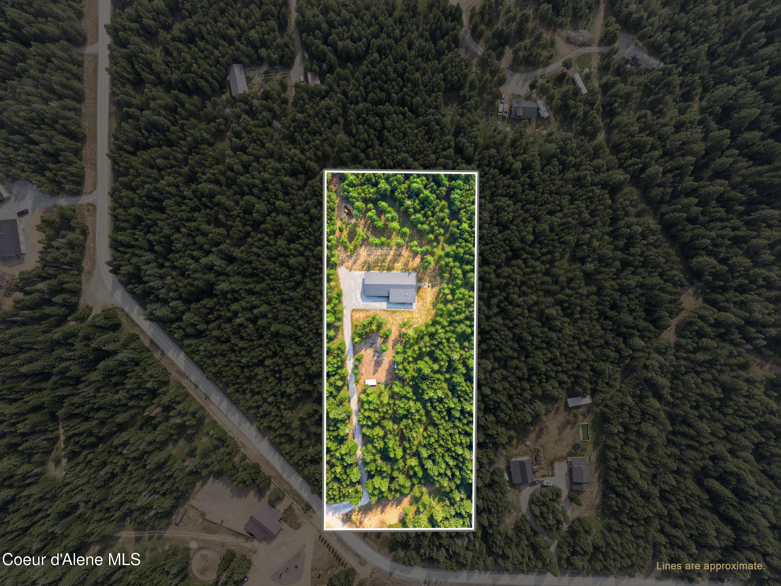 112 Alberto Road Priest River, ID 83856 - Photo 3 of 55 56_dji_20260720094628_0869_da