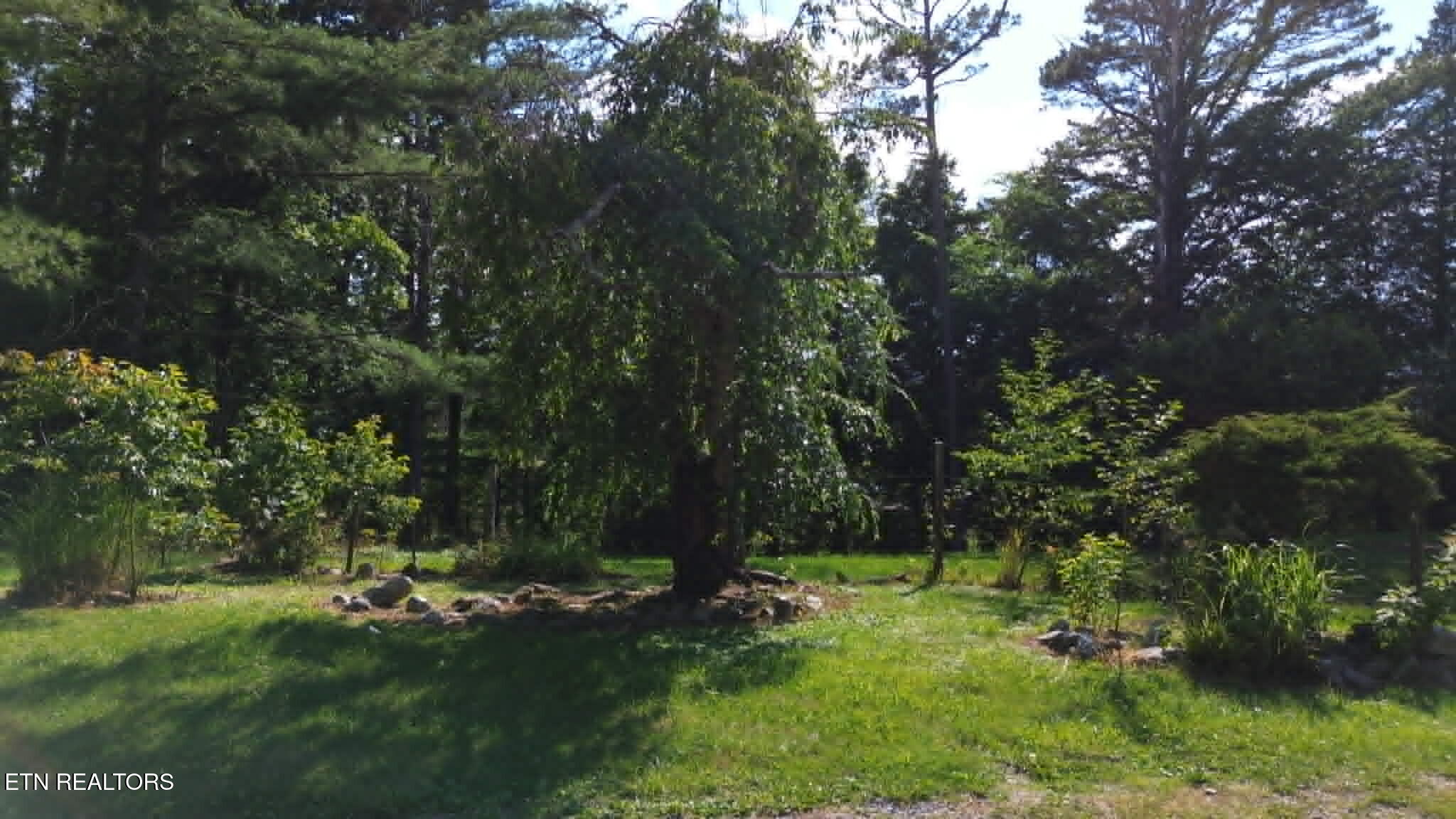 228 Marcella Road Cumberland Gap, TN 37724 - Photo 23 of 34 43e47372-452f-43f0-b47f-335705d0f253