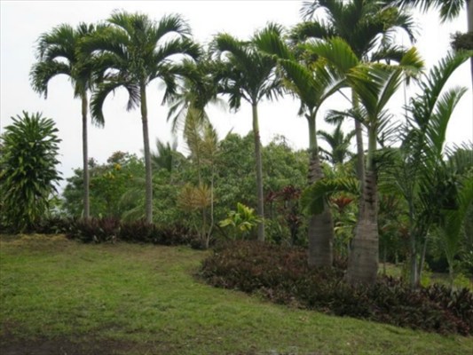 82-5824B Napoopoo Road Captain Cook, HI 96704 - Photo 7 of 11 Gallery Image 7
