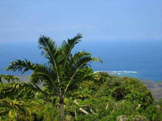 82-5824B Napoopoo Road Captain Cook, HI 96704 - Photo 8 of 11 Gallery Image 8