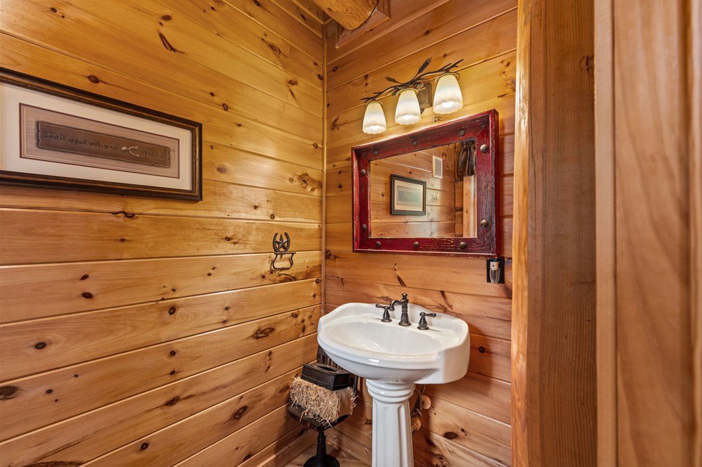 602 Overlook Drive Blue Ridge, GA 30513 - Photo 30 of 91