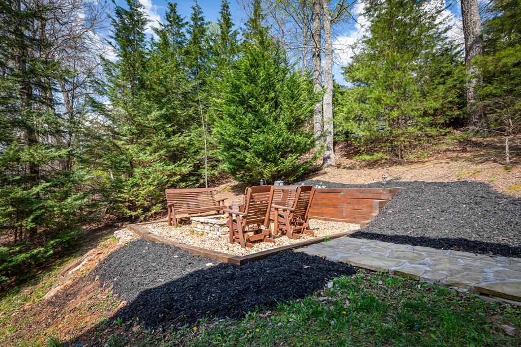 602 Overlook Drive Blue Ridge, GA 30513 - Photo 7 of 91