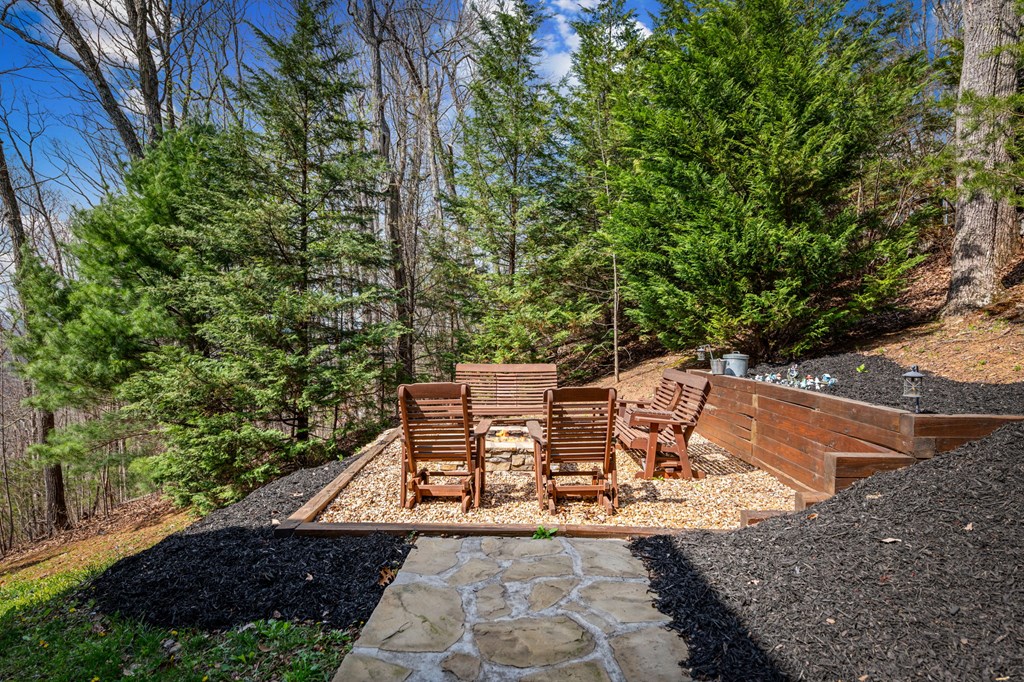 602 Overlook Drive Blue Ridge, GA 30513 - Photo 91 of 91