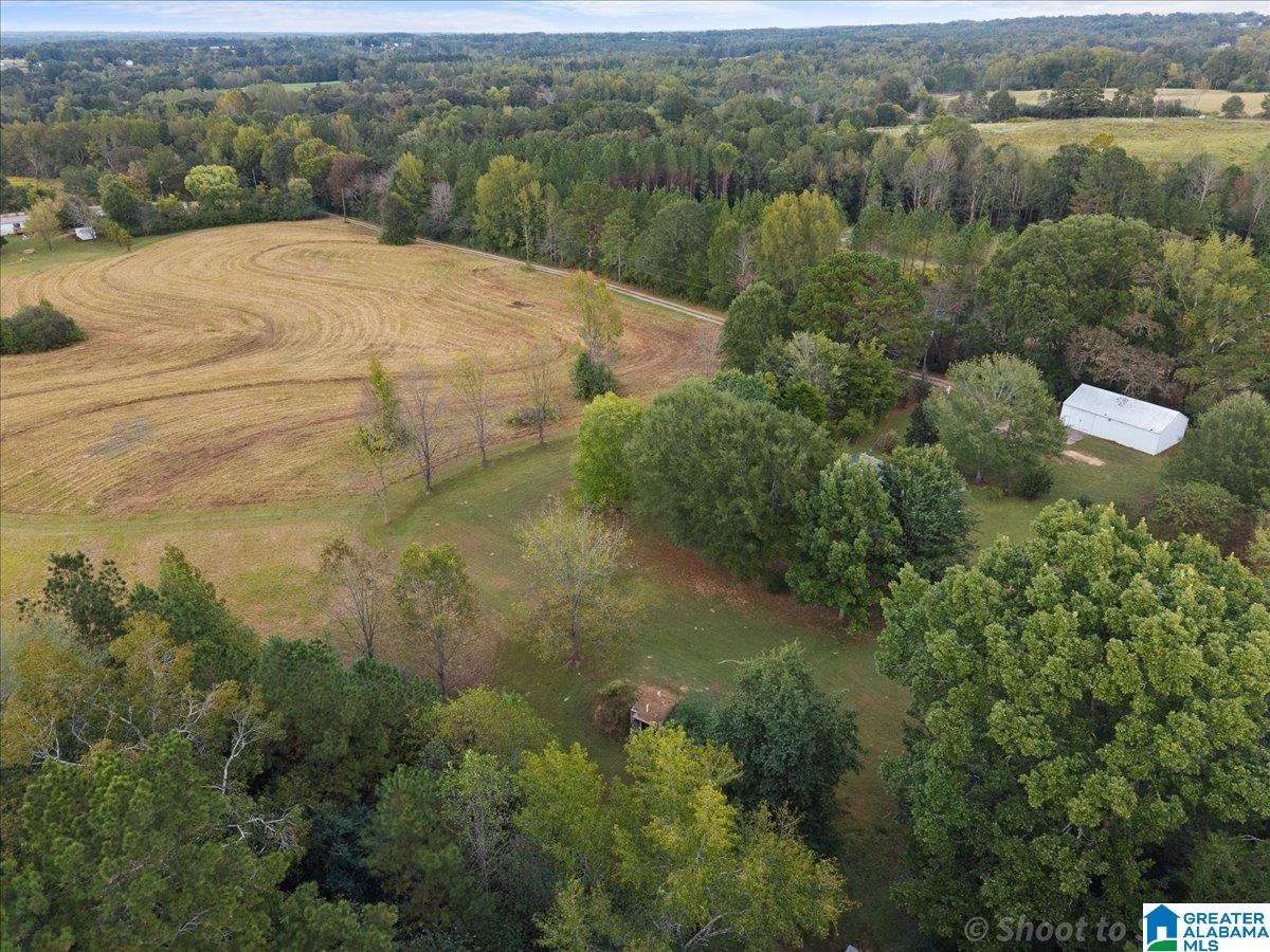 546 Hamm Road Blountsville, AL 35031 - Photo 30 of 41