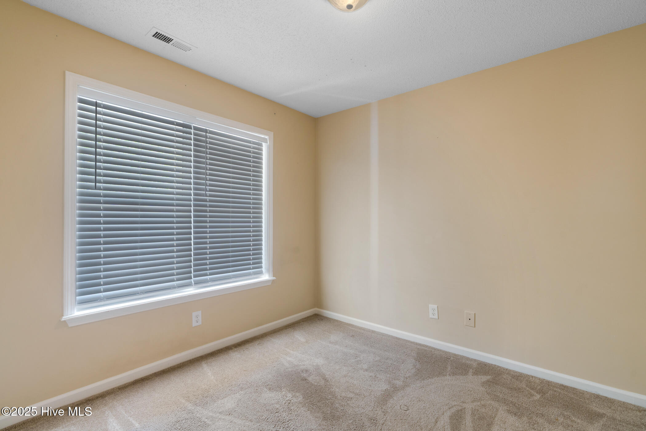 562 Wiregrass Road Rockingham, NC 28379 - Photo 17 of 25 DSC08911