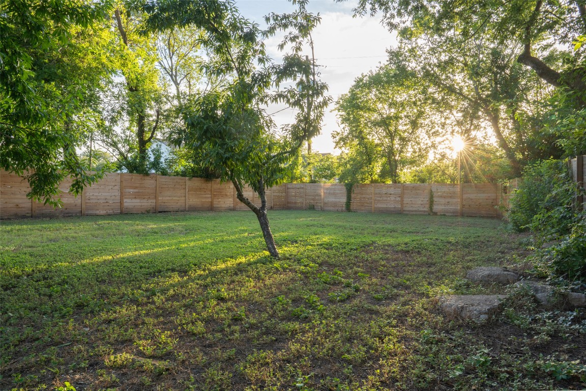 1148 Gunter Street Austin, TX 78721 - Photo 5 of 38 a view of a backyard with a tree