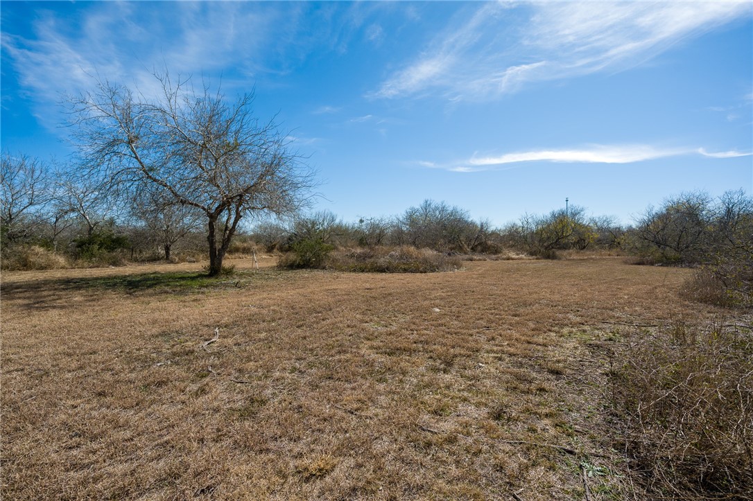 124 County Road 632 Sinton, TX 78387 - Photo 33 of 40 a view of a field with trees