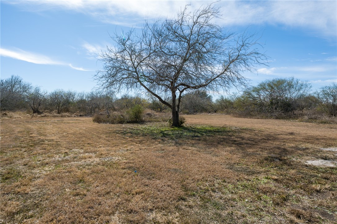 124 County Road 632 Sinton, TX 78387 - Photo 34 of 40 a view of dirt yard with large trees