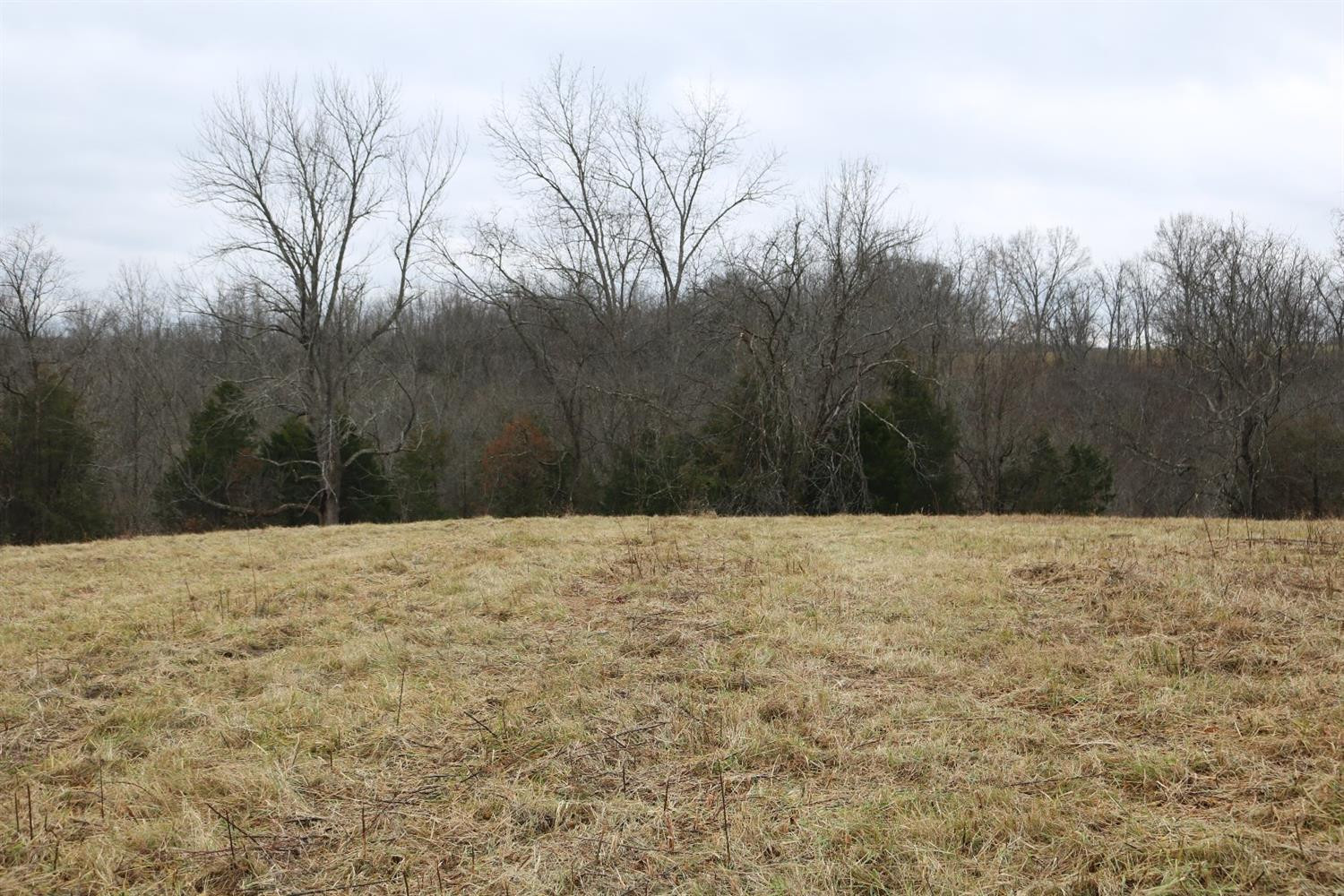1 Bethel Road Carlisle, KY 40311 - Photo 21 of 40 Photo 21