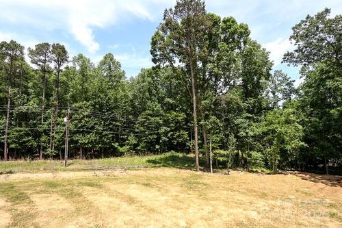 8708 Island Point Road Sherrills Ford, NC 28673 - Photo 43 of 46