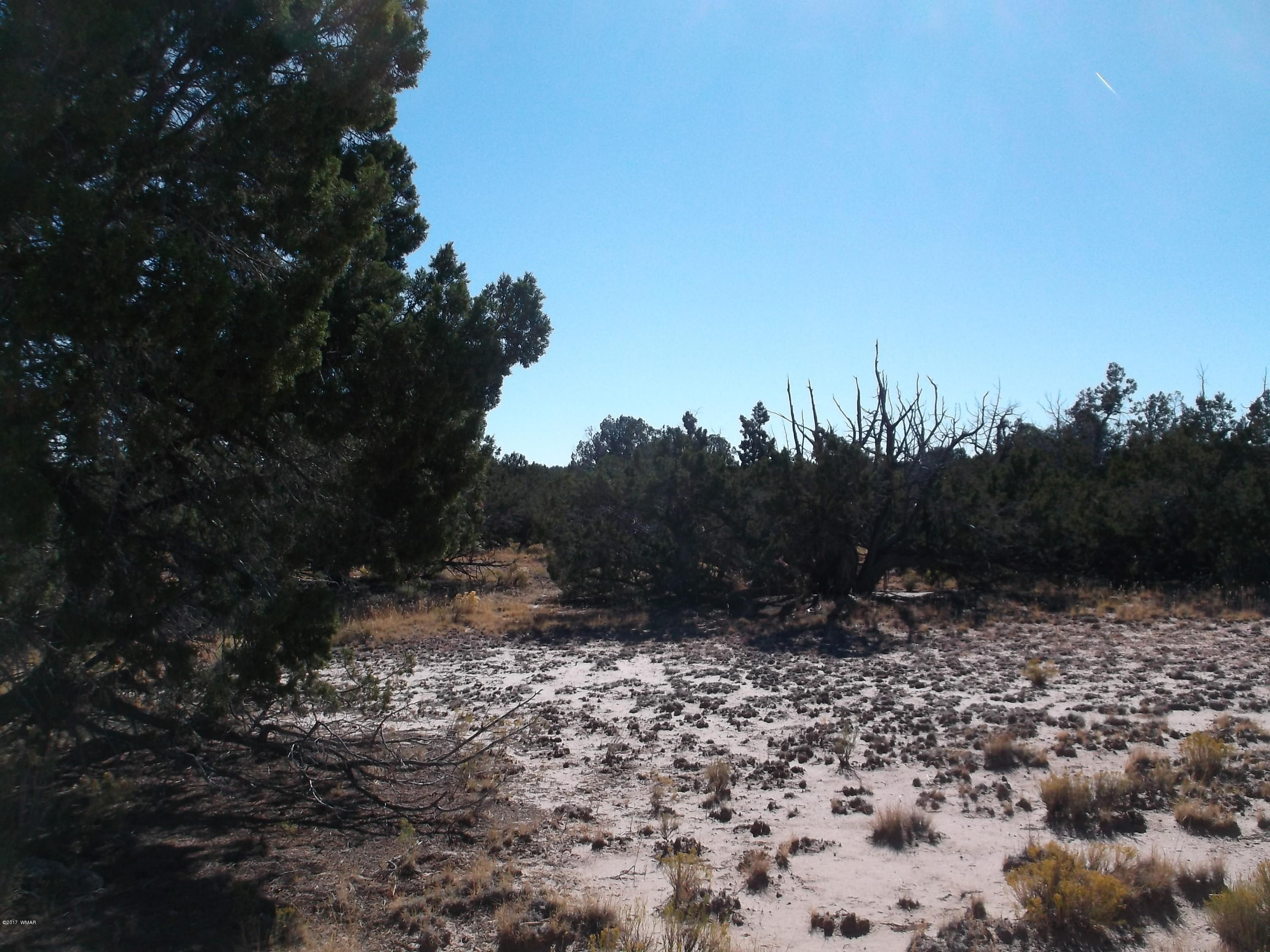 003 Sec 23 T17n R27e St. Johns, AZ 85936 - Photo 4 of 4