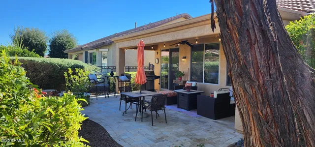 a view of a patio with chairs and potted plants