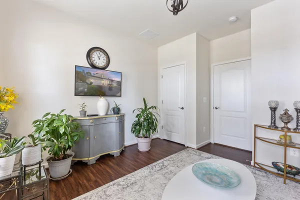 a living room with furniture potted plant and a window