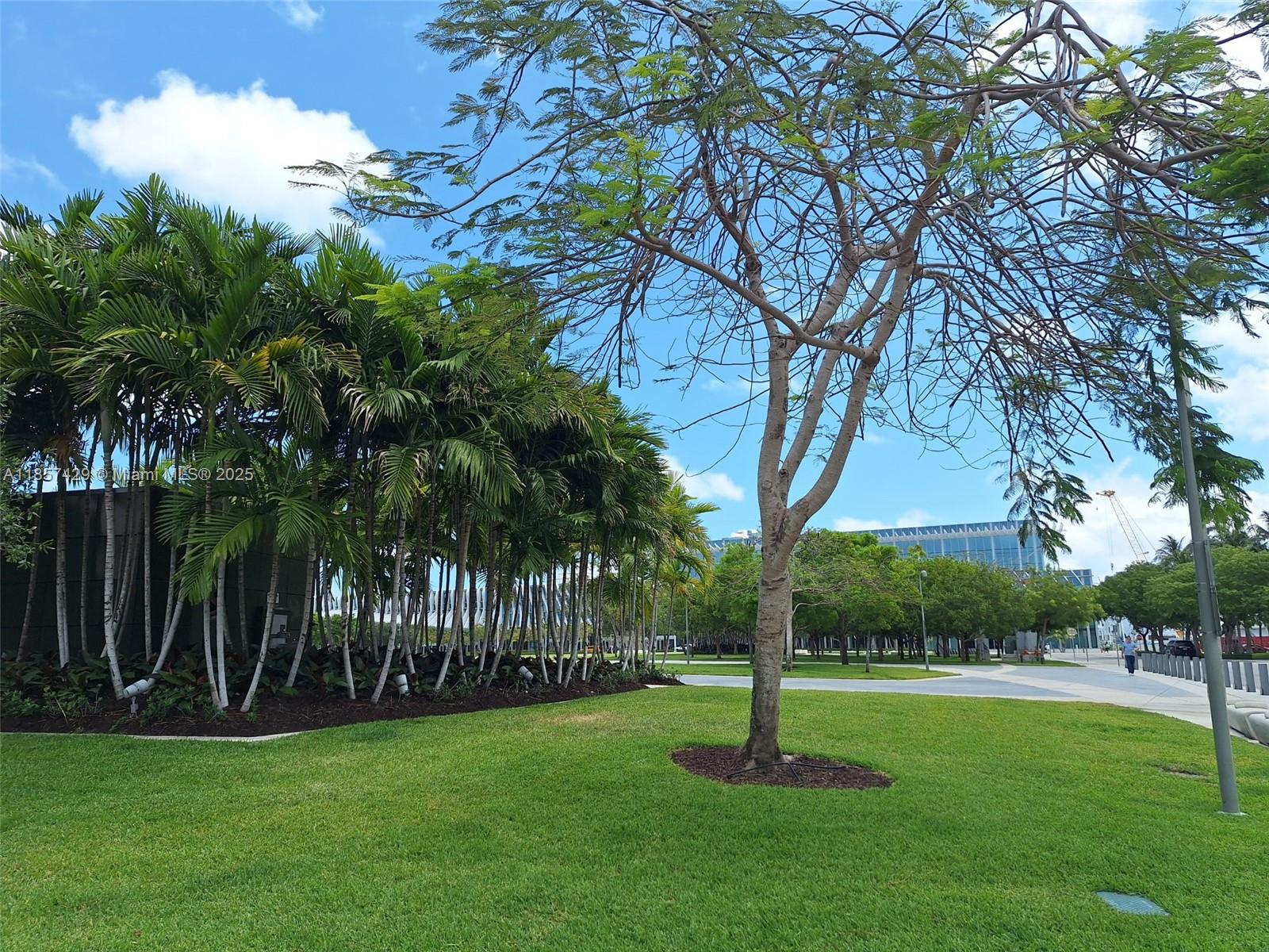 1770 Meridian Avenue, Unit 213 Miami Beach, FL 33139 - Photo 18 of 19 a backyard of a house with lots of green space