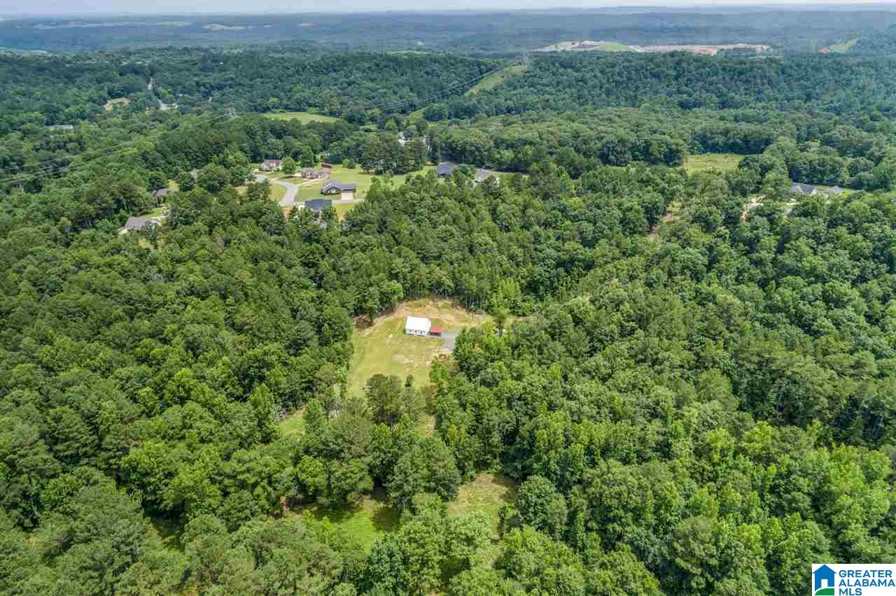 3851 Humber Road Dora, AL 35062 - Photo 9 of 35