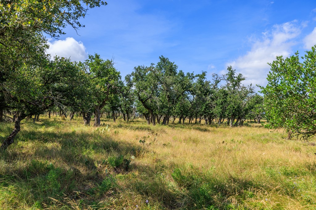436 Stevens Ranch Road, Unit 8 Harper, TX 78631 - Photo 8 of 25