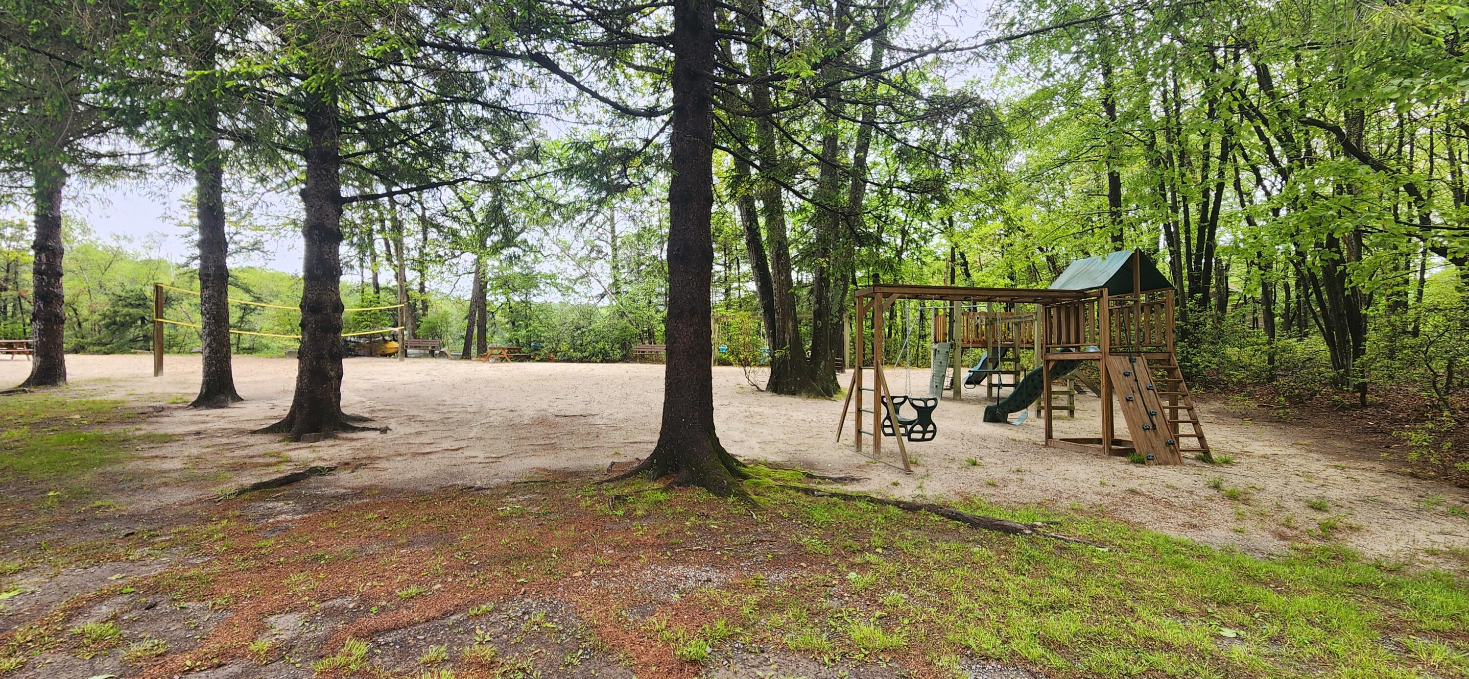 1729 Hemlock Drive Scotrun, PA 18355 - Photo 21 of 21 a view of outdoor space with trees