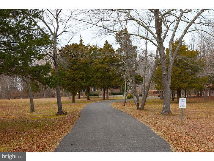 374 Beasley Neck Road Salem, NJ 08079 - Photo 5 of 25 Driveway