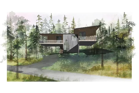 a view of a house with a yard and a large tree