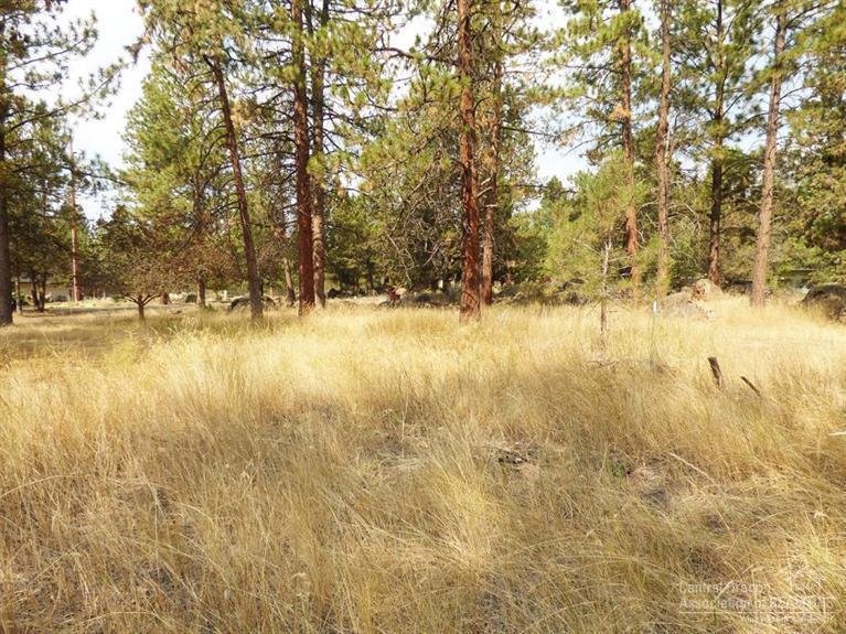 61666 Cedarwood Road Bend, OR 97702 - Photo 1 of 24 Primary Photo