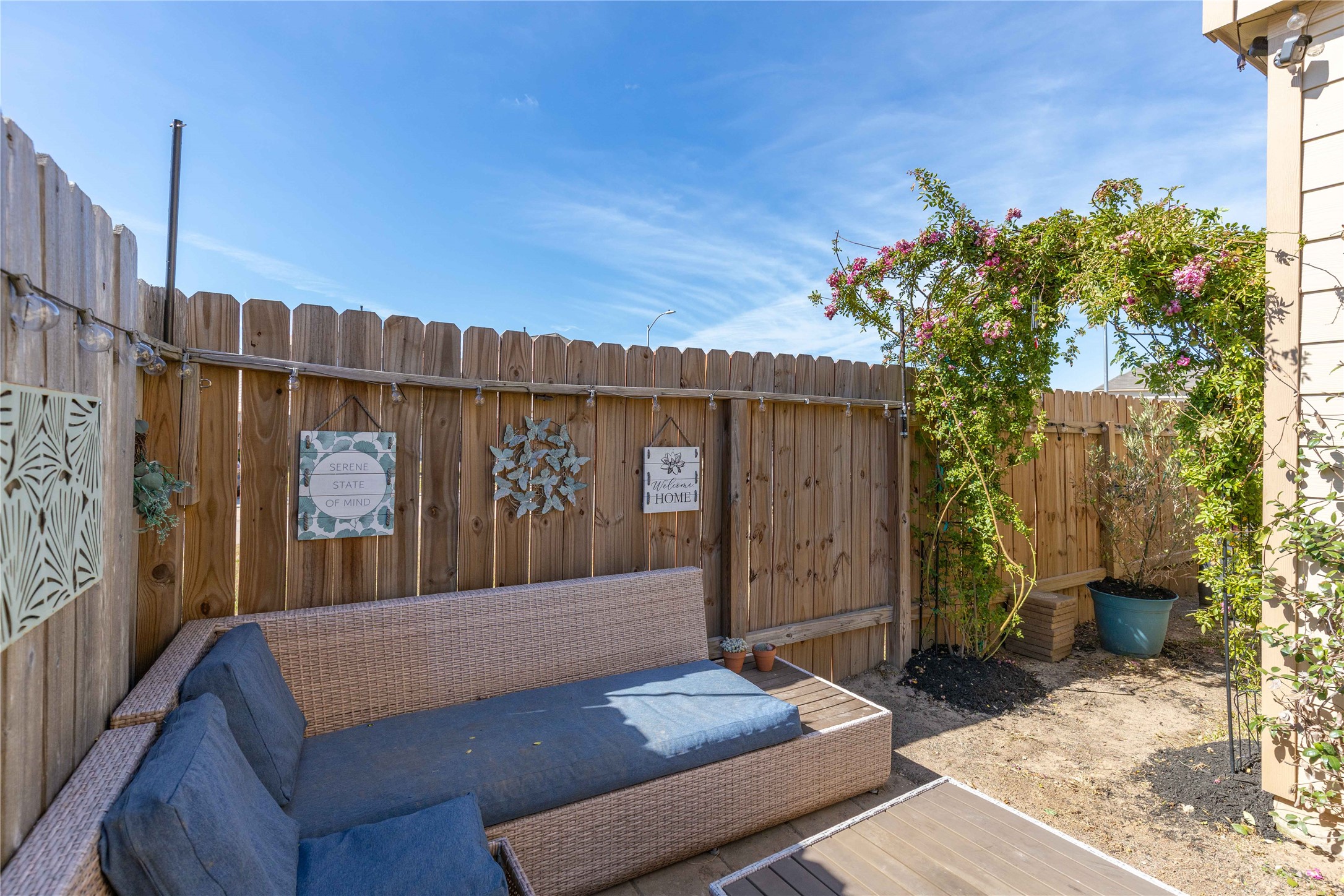 18623 Jerrara Stream Lane Katy, TX 77449 - Photo 30 of 46 Watch the Peggy Martin roses THRIVE this spring and summer as you sip your coffee outside. Ground has been seeded and recently landscaped - ready for move-in.