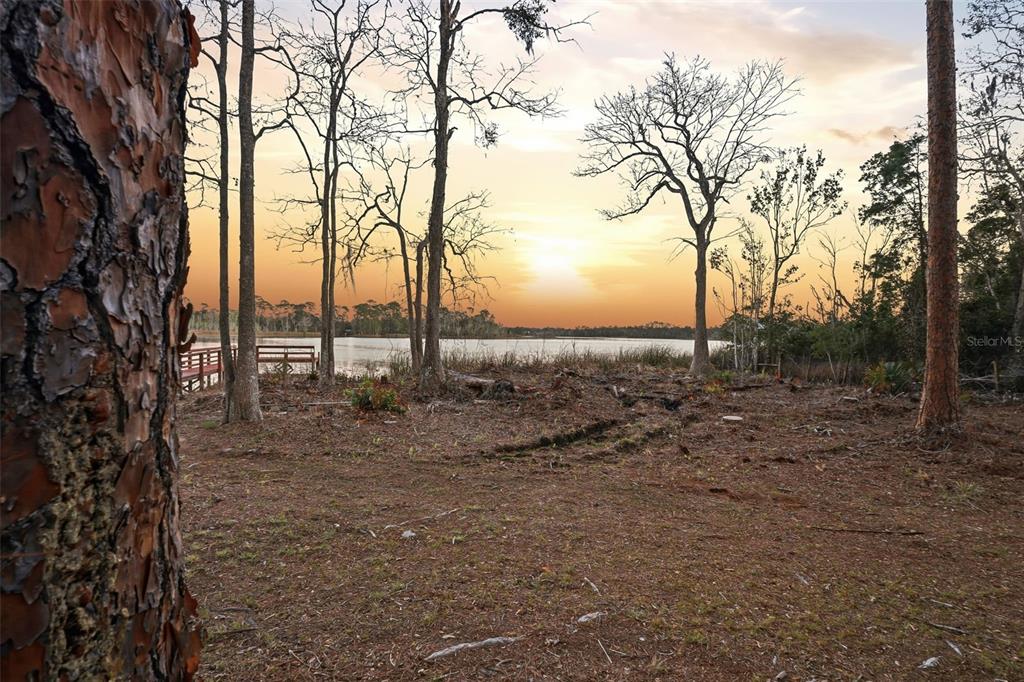 6197 Lake Winona Road De Leon Springs, FL 32130 - Photo 2 of 49