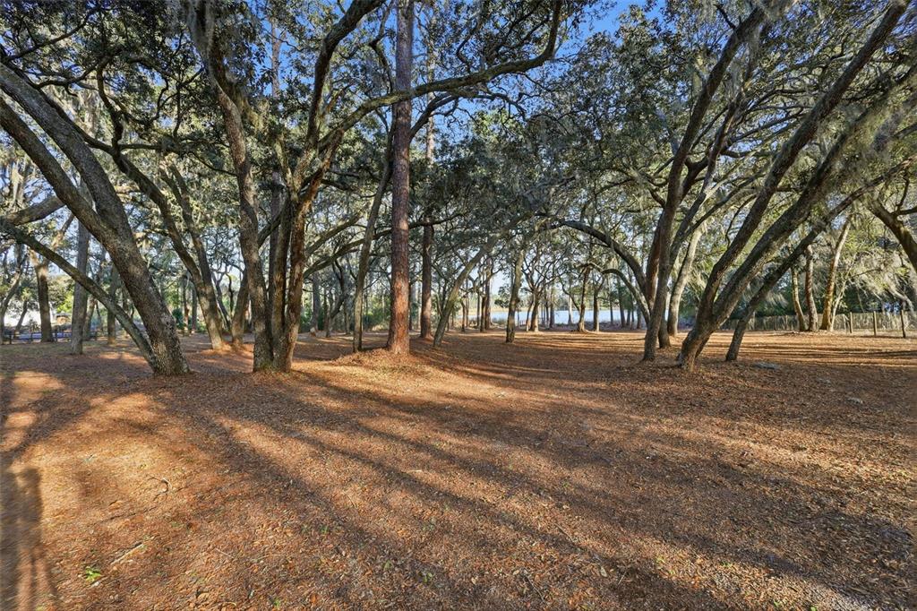 6197 Lake Winona Road De Leon Springs, FL 32130 - Photo 32 of 49