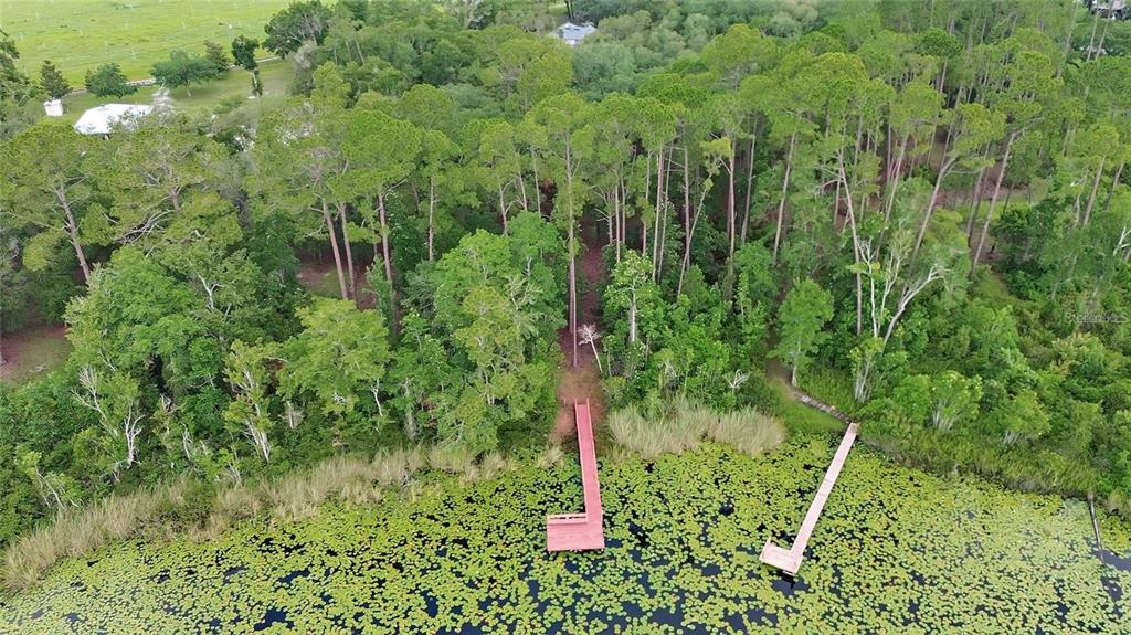 6197 Lake Winona Road De Leon Springs, FL 32130 - Photo 37 of 49