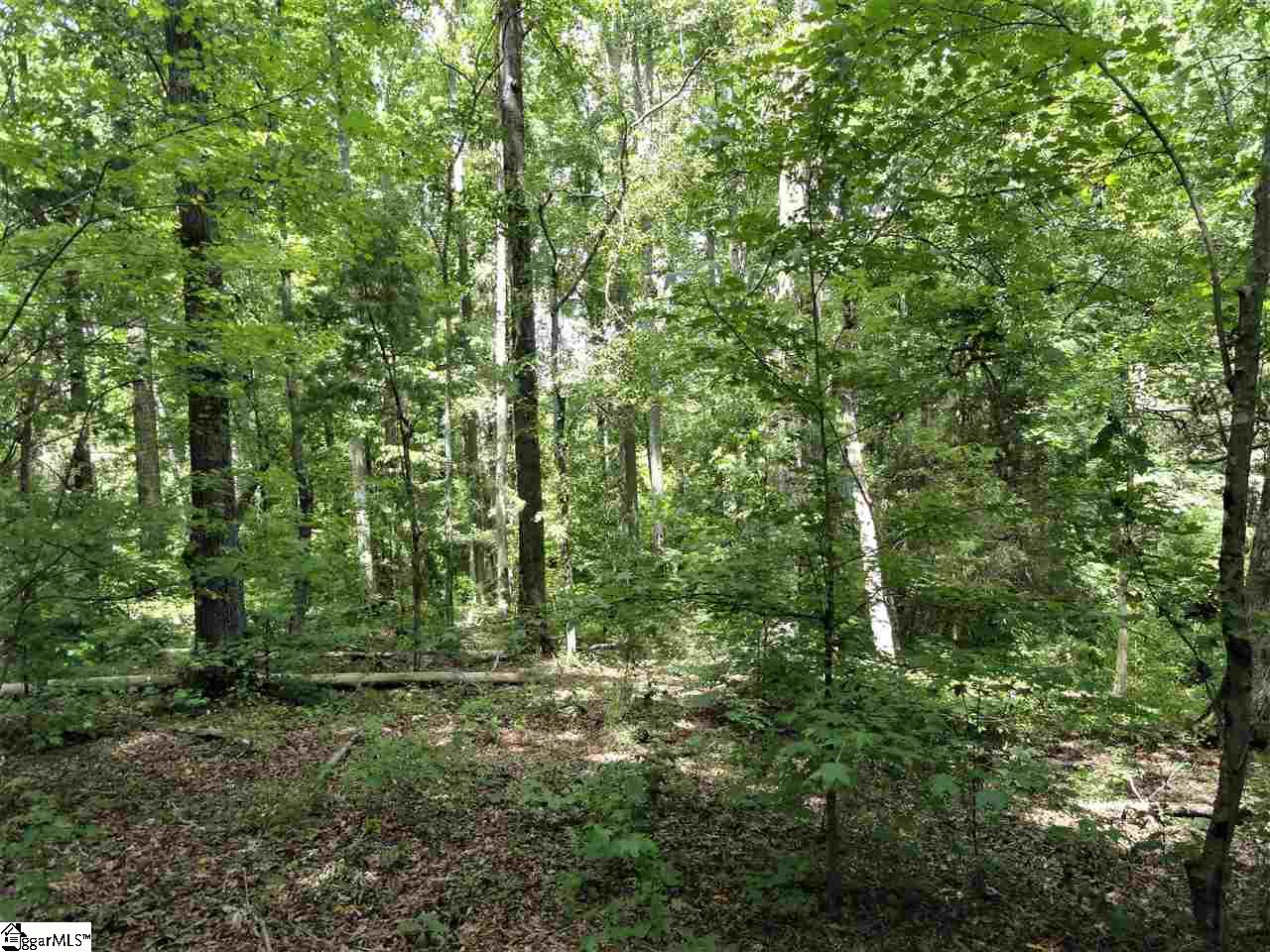 151 Clement Drive Inman, SC 29349 - Photo 2 of 20