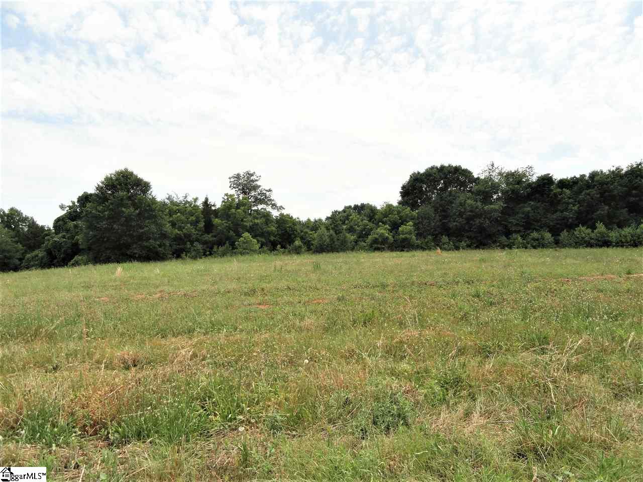 151 Clement Drive Inman, SC 29349 - Photo 12 of 20