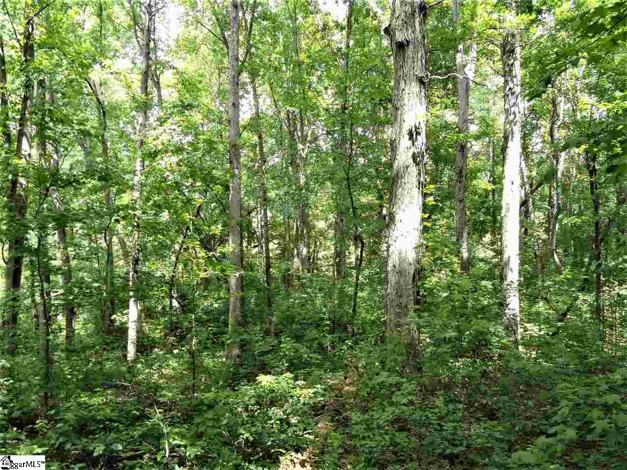 151 Clement Drive Inman, SC 29349 - Photo 13 of 20