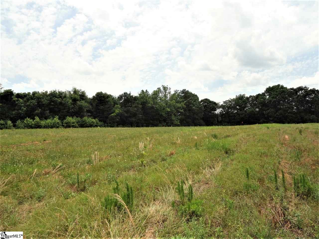 151 Clement Drive Inman, SC 29349 - Photo 14 of 20